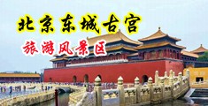 男人干裸体女人的BB小视频中国北京-东城古宫旅游风景区